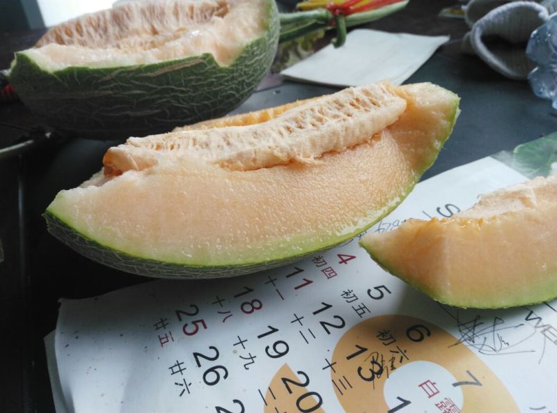 西州蜜瓜2斤以上椭圆形