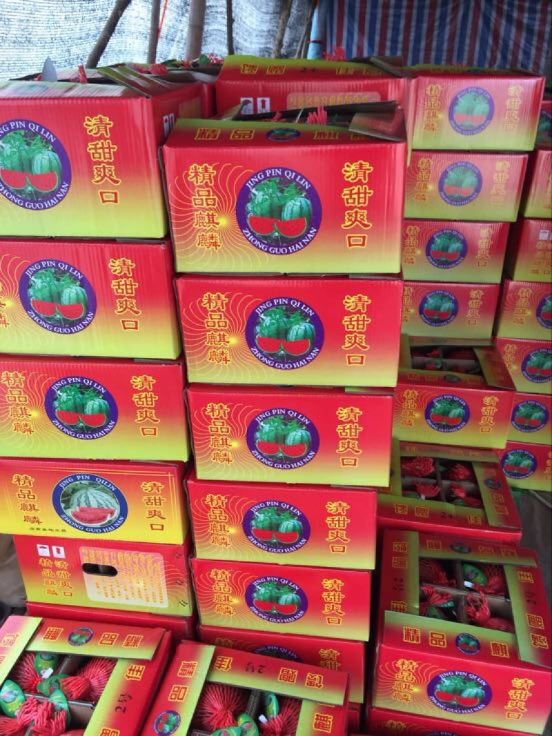 麒麟西瓜保质保量7斤打底8成熟头茬