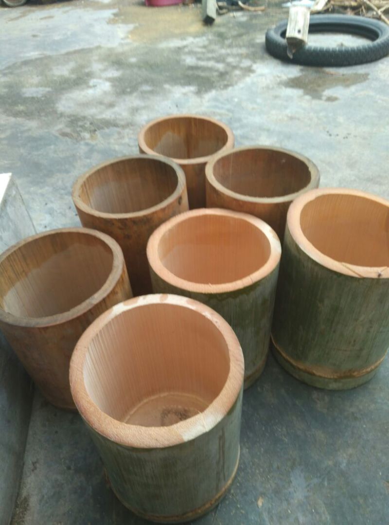 竹筒巨龙竹竹筒工艺竹子产品