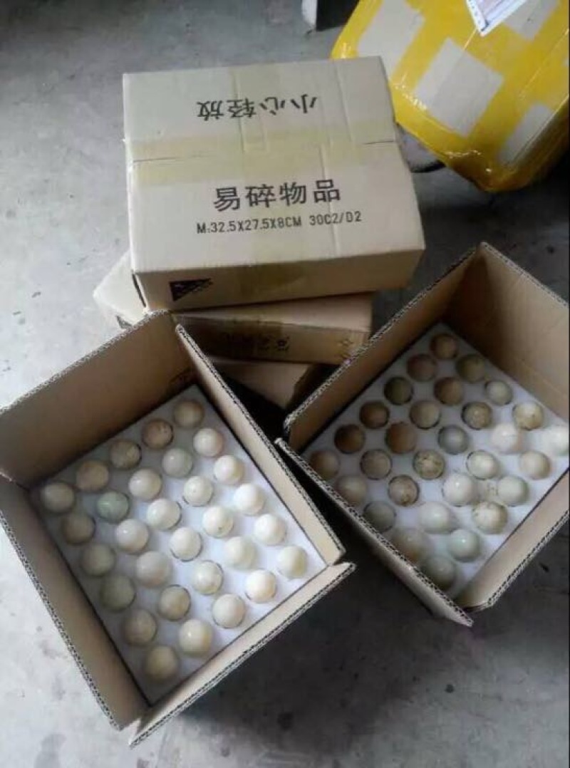 土鸡蛋