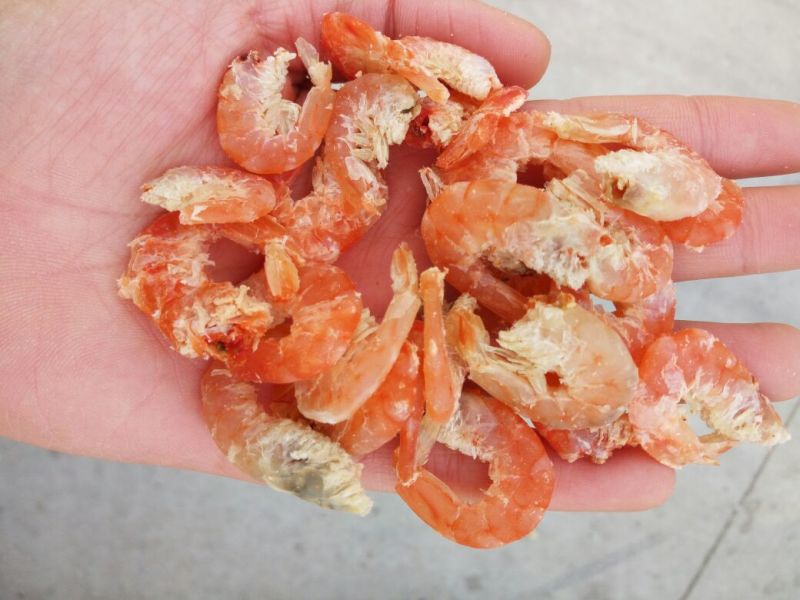 山东渤海湾对虾干无盐淡干海米对虾米脱皮现货