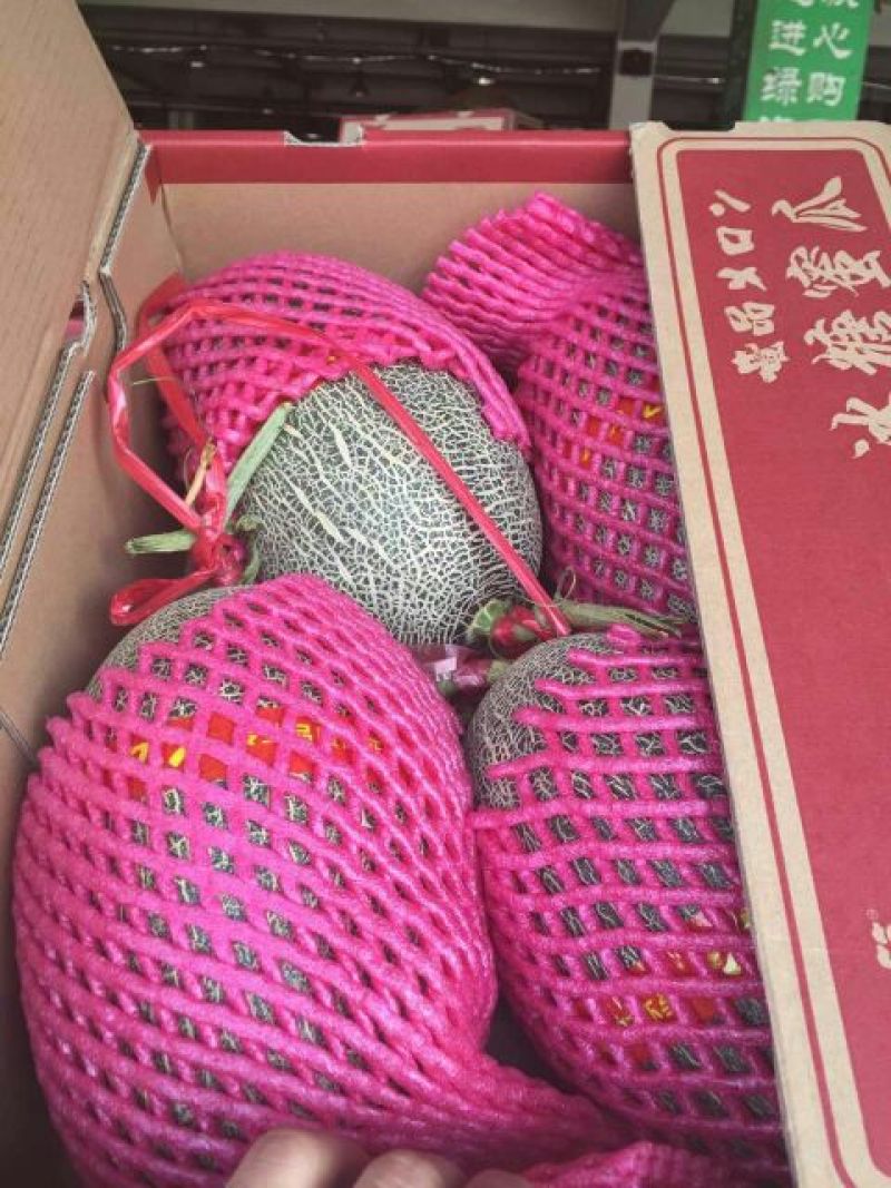 海南17号哈密瓜3斤以上长圆形