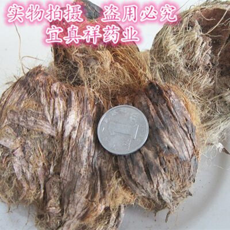 大腹皮