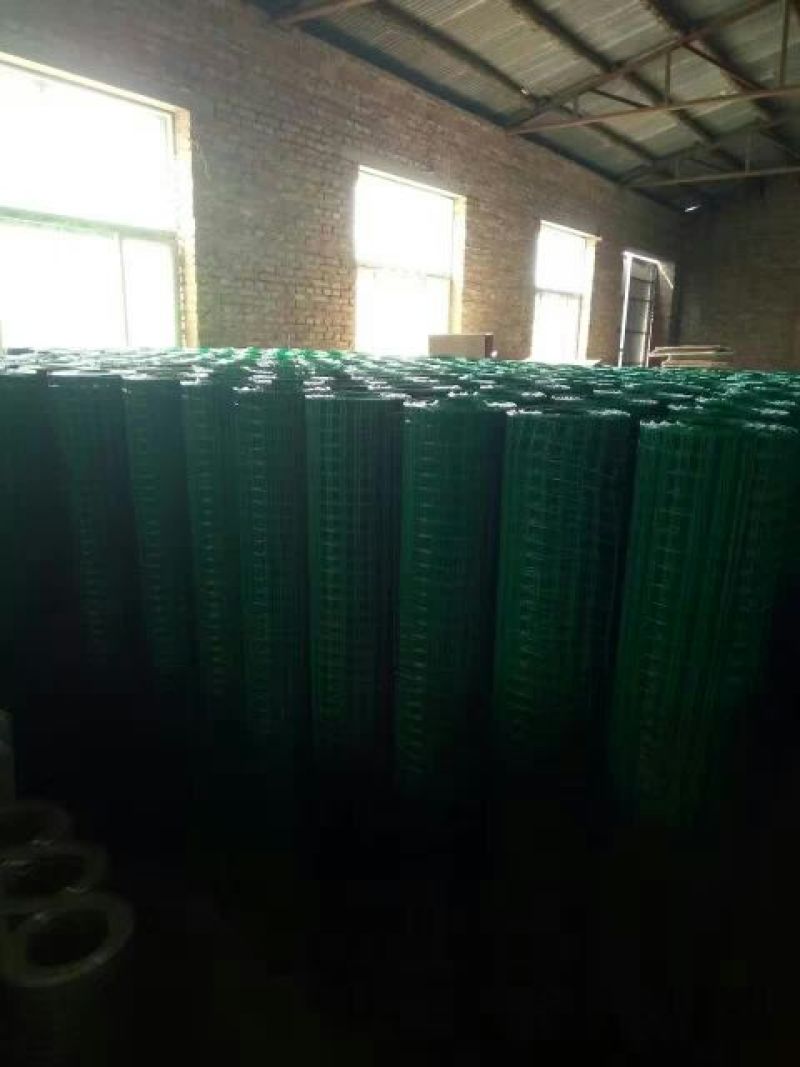 荷兰网