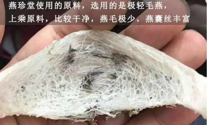 燕窝