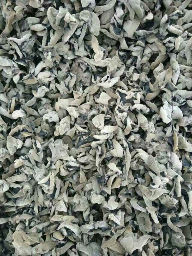 黑山秋耳一级