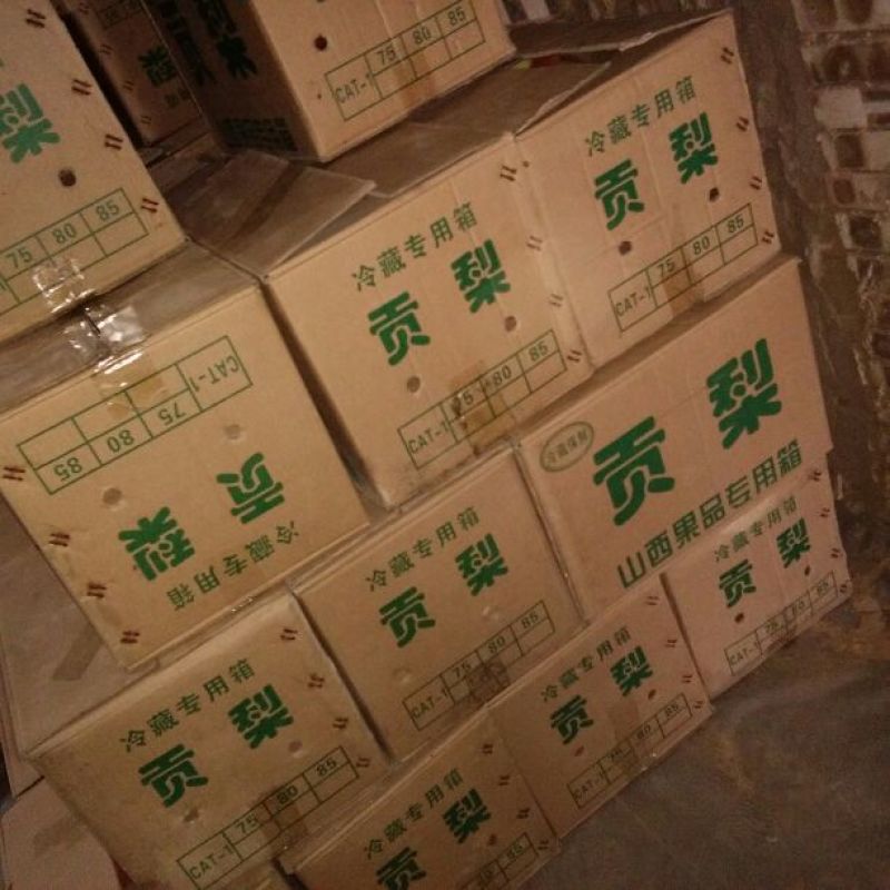酥梨300~350g纸袋