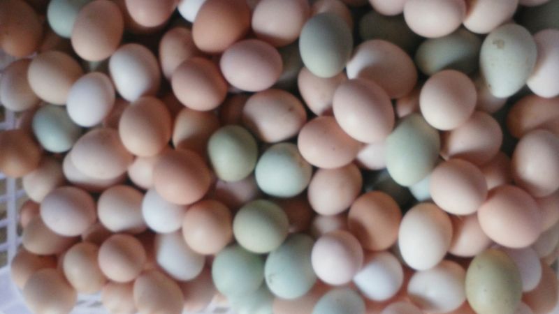 土鸡蛋食用50g以下