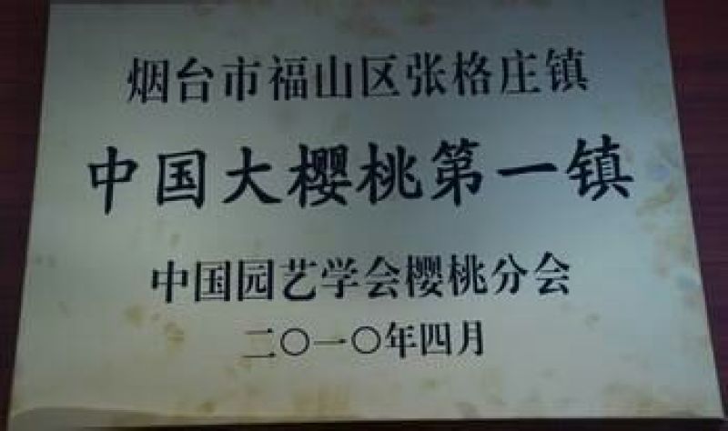美早樱桃20mm以上