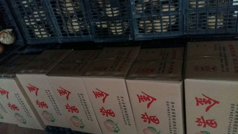 晚秋黄梨250~300g纸袋