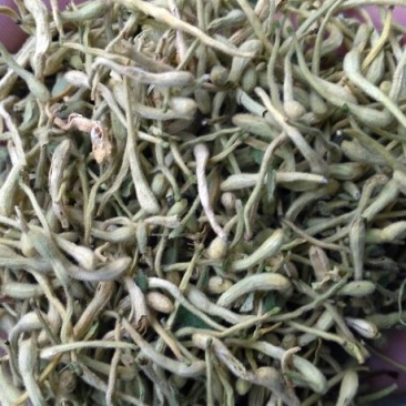 金银花色青花