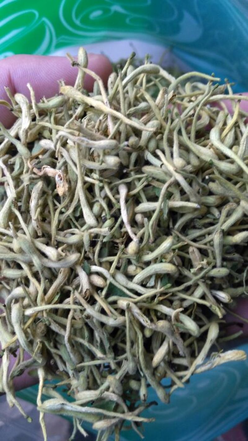 金银花色青花