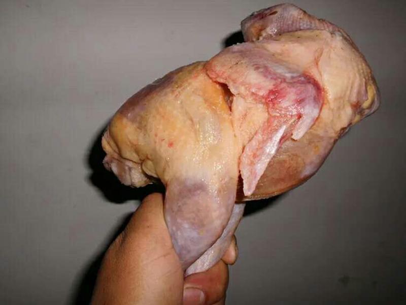 冻鸡肉包装稚鸡2.4-3斤左右，个头均匀