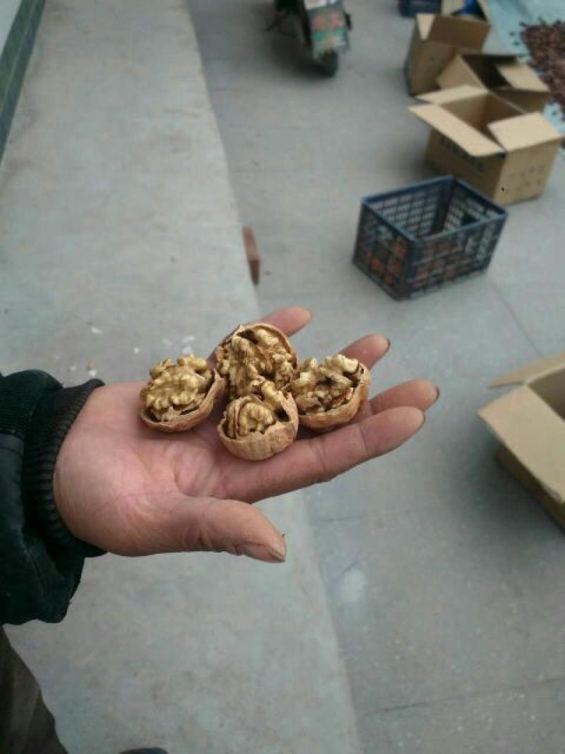 薄皮核桃去皮干