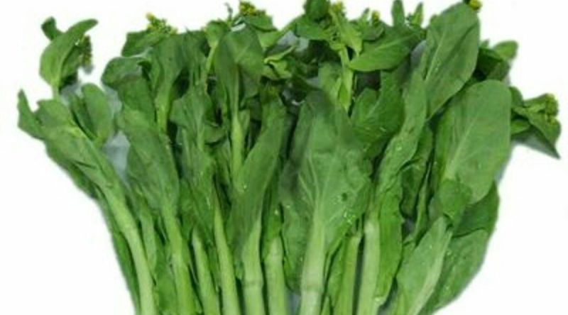 油菜苔10~15厘米