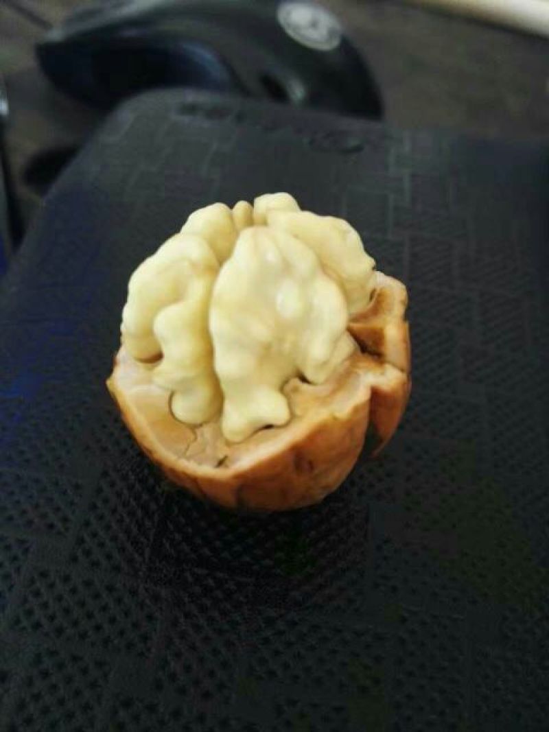 青皮核桃30mm以上青皮