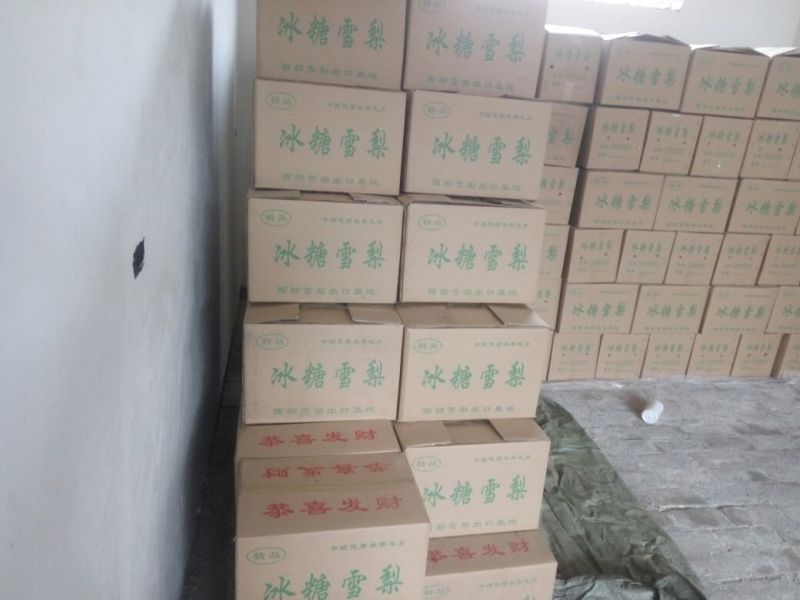 酥梨100~150g纸袋