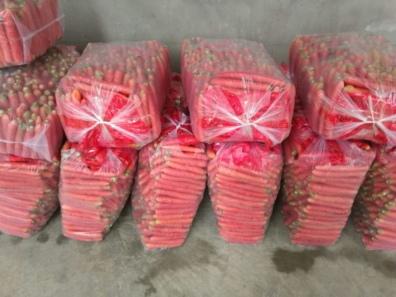 胡萝卜红3两以上10厘米以上水洗量大从优质量保证