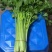 【芹菜】精品西芹大量上市中量大从优欢迎选购