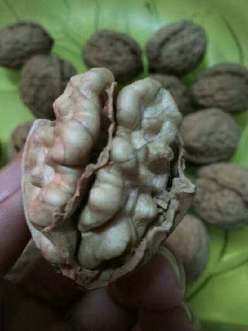 薄皮核桃去皮干