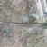 梨树苗150~200cm1~4cm