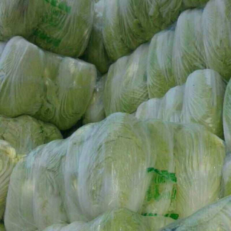 实力货源湖北发货黄心大白菜品质保障提供一站式服务电话联系