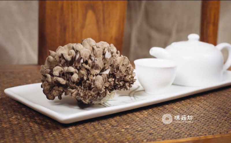 灰树花