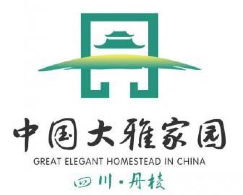 大雅柑1号柑桔苗两年苗