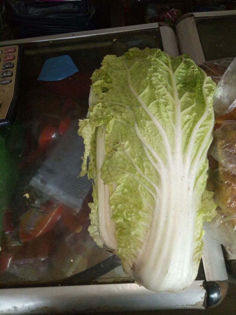 娃娃菜7~9两以上要的速度联系，诚信为主