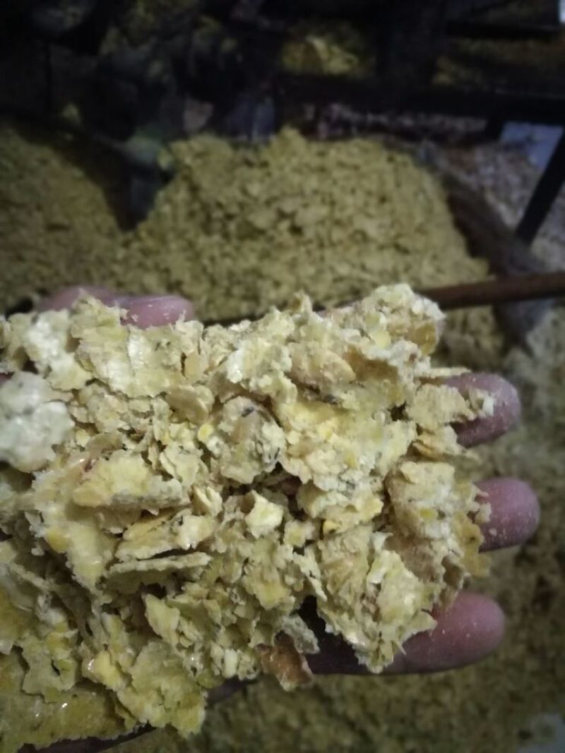 压榨菜籽油一级