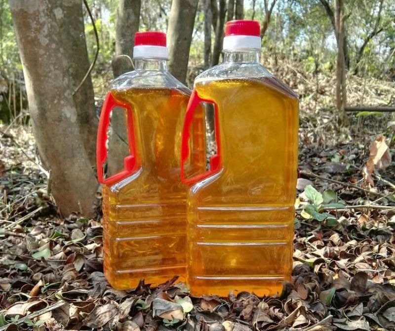 【推荐】山茶籽油一手货源现压榨保质保量量大价优