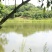 山瑞鳖5斤以上