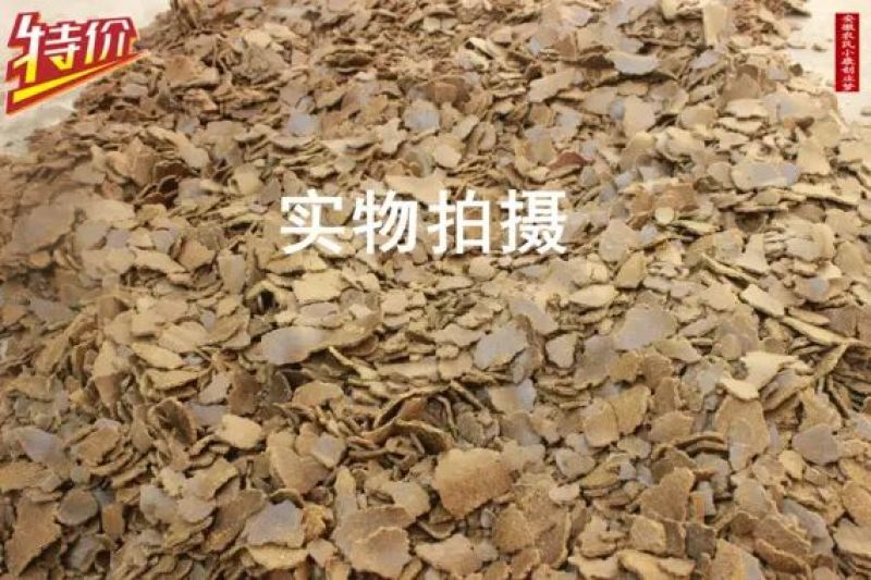 菜饼