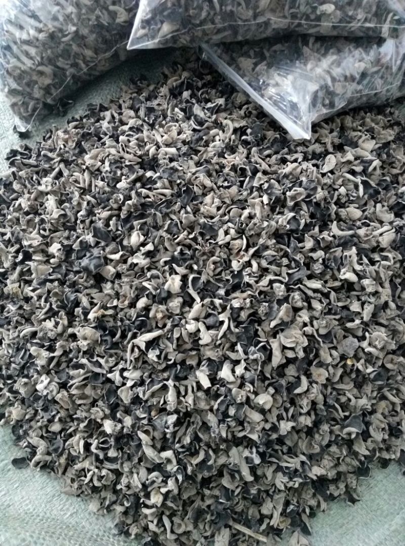 干木耳一级