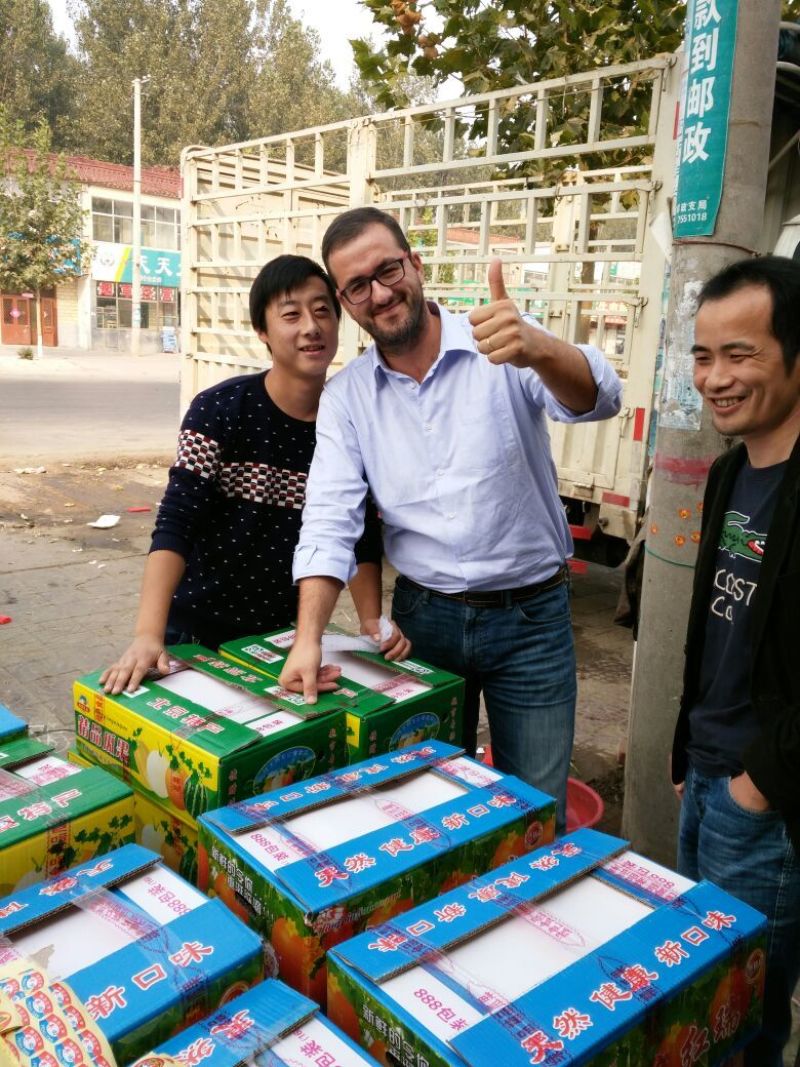 脆梨甜瓜，白金蜜，甜瓜香瓜哈密瓜基地！产地大量供应