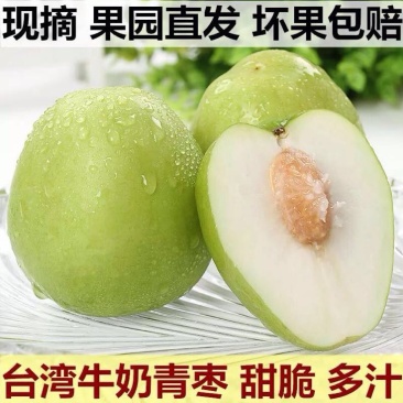 台湾大青枣30~40g