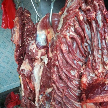 驴肉