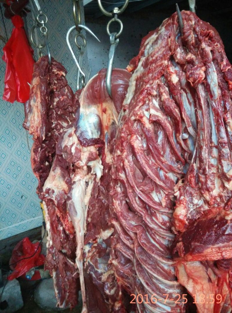 驴肉