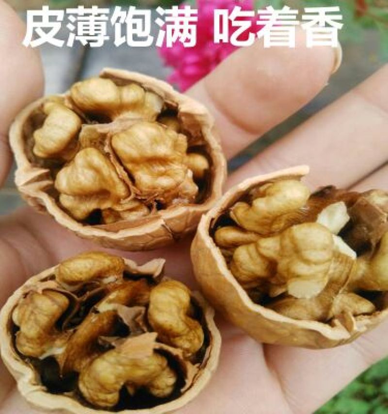 纸皮核桃去皮干