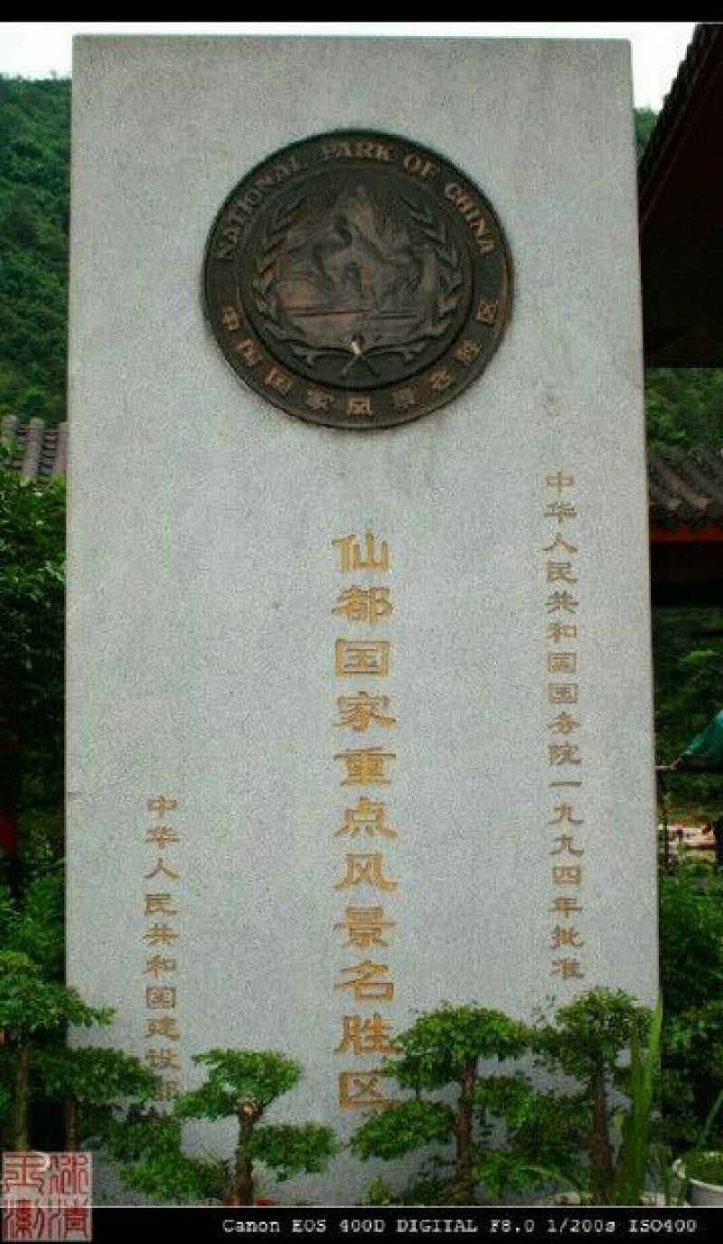 本山茶特级