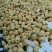 砀山梨300~350g光果