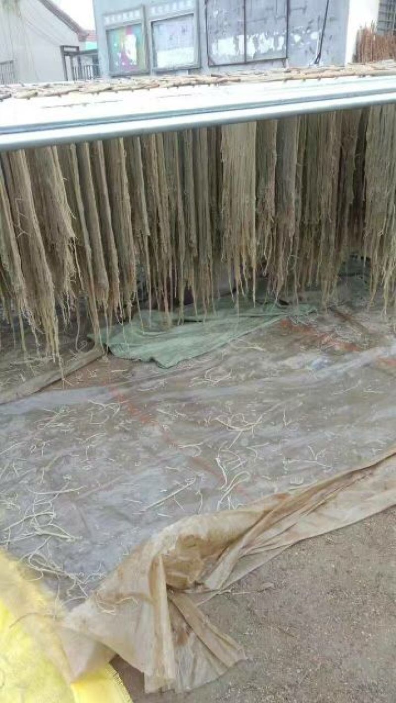 红薯粉条中粉