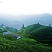 石阡苔茶特级