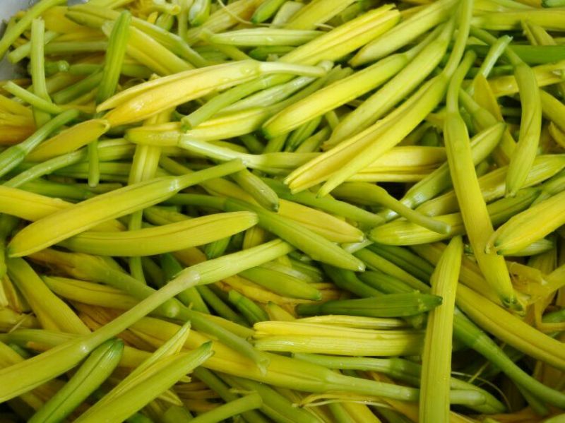 干黄花菜散装一级