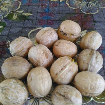 核桃去皮