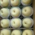 砀山梨350~400g纸袋