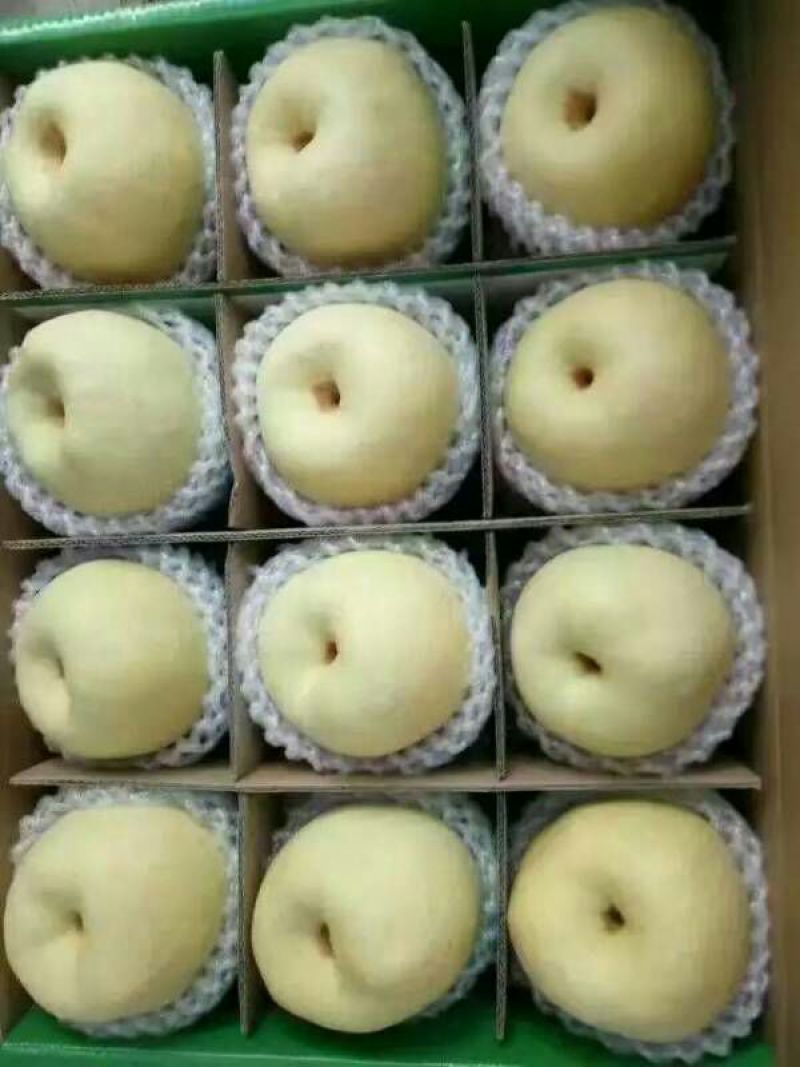 砀山梨350~400g纸袋