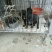 拉布拉多犬黑色拉布拉多米色拉布拉多大小均有