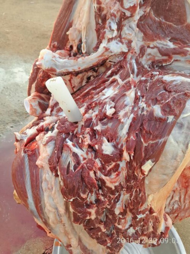 驴肉鲜货