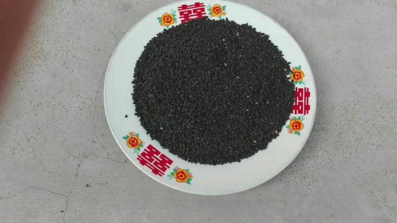紫皮洋葱种子80%以上